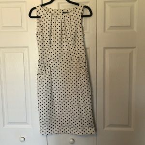Chaps polka dot dress